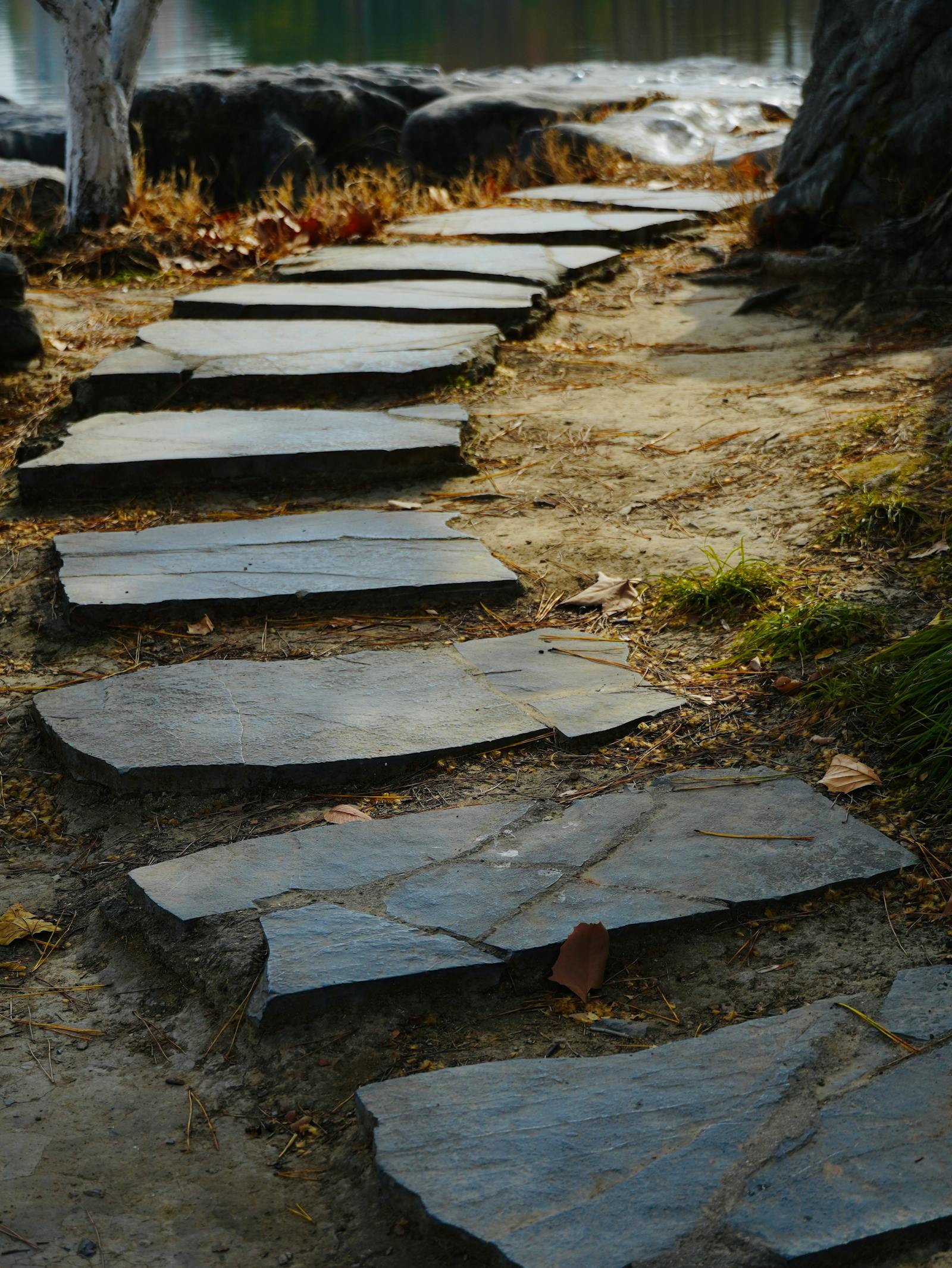 Rustic flagstone pathway through a garden with hand-cut joints and dry-laid stones.