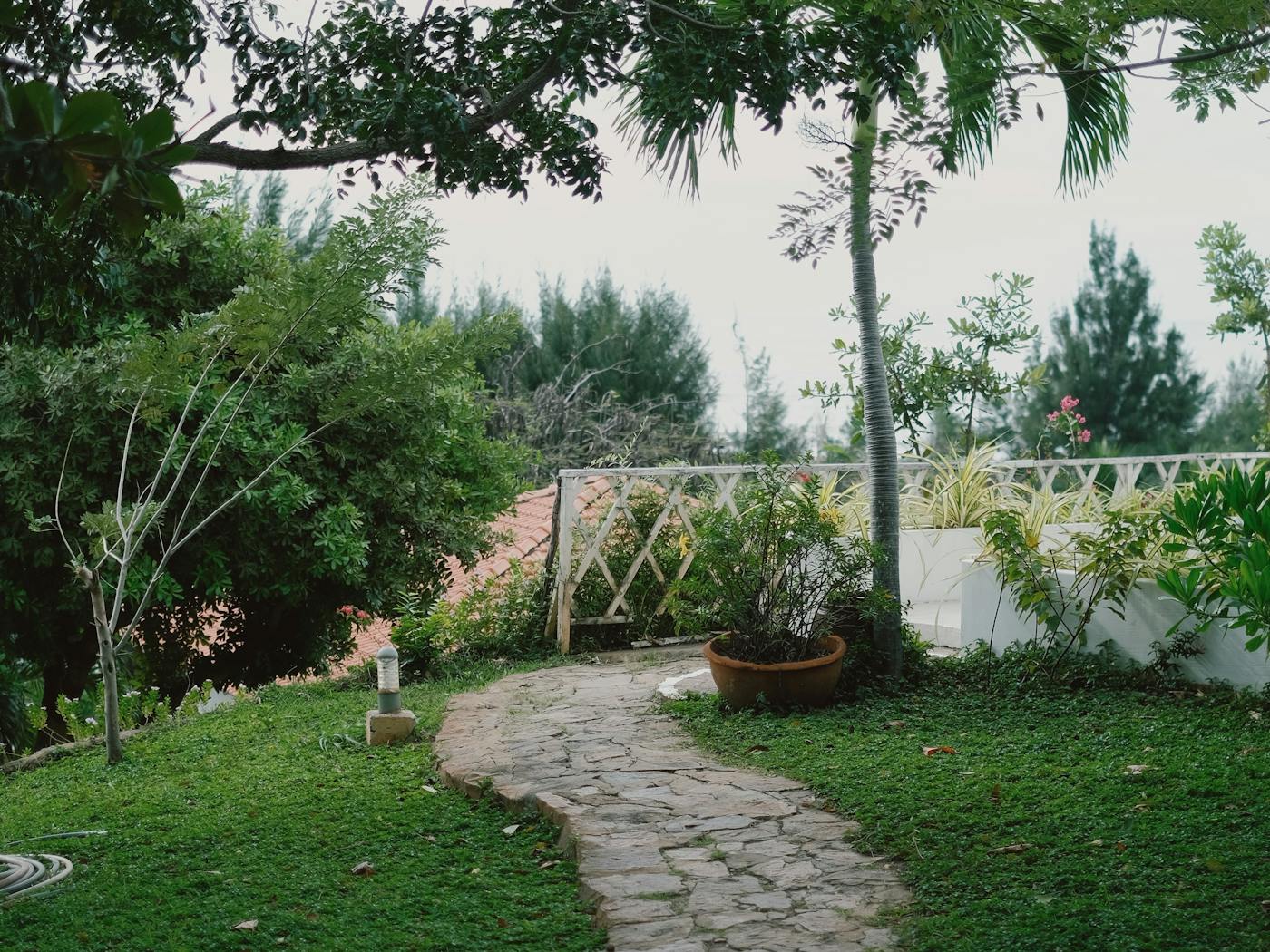 Stone path winding through dense lush greenery between two garden beds.