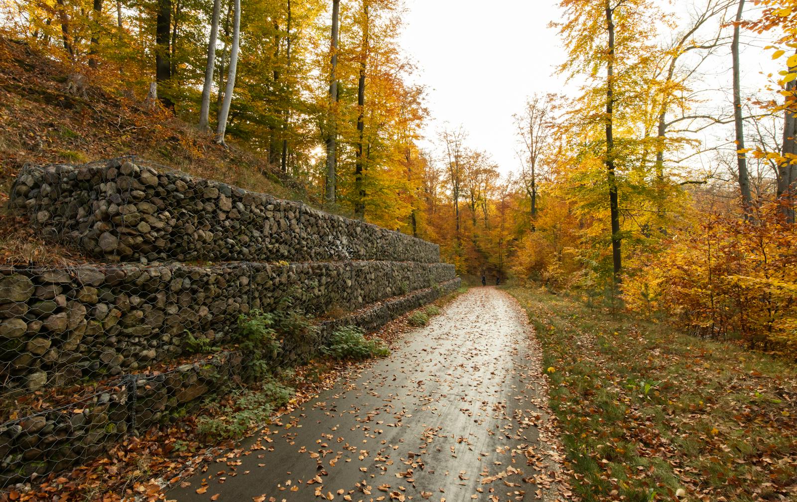 Stacked-stone retaining wall along a curved path with autumn foliage.