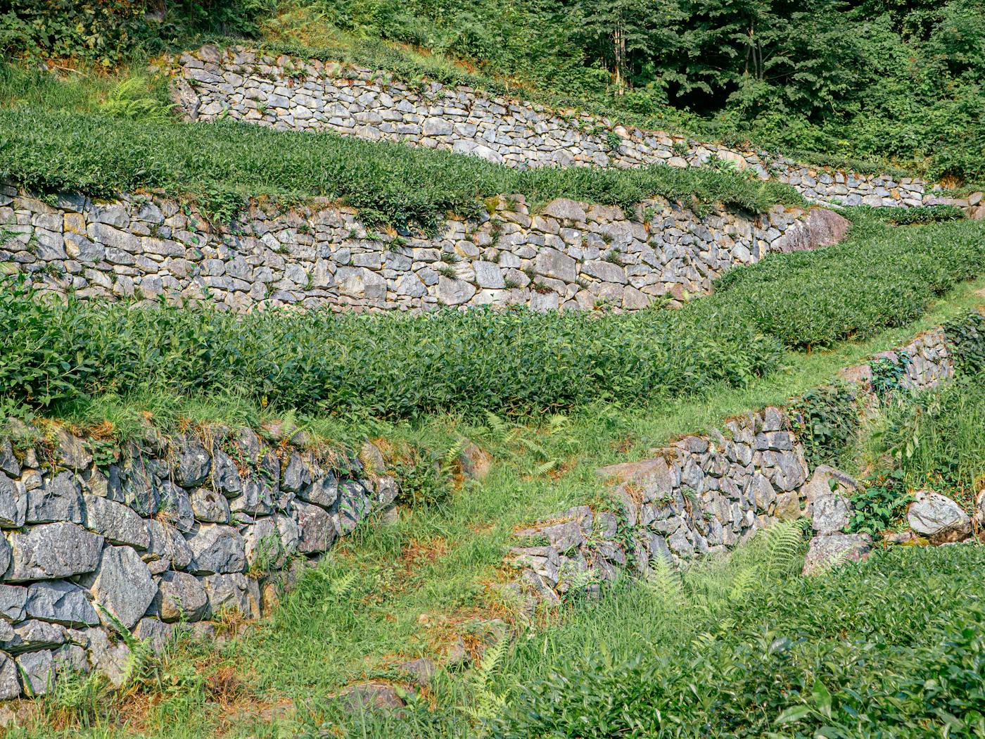 Two-tier stone retaining wall terracing a sloped backyard with planted beds.